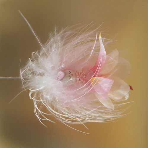 Fuchsie lachs-rosa